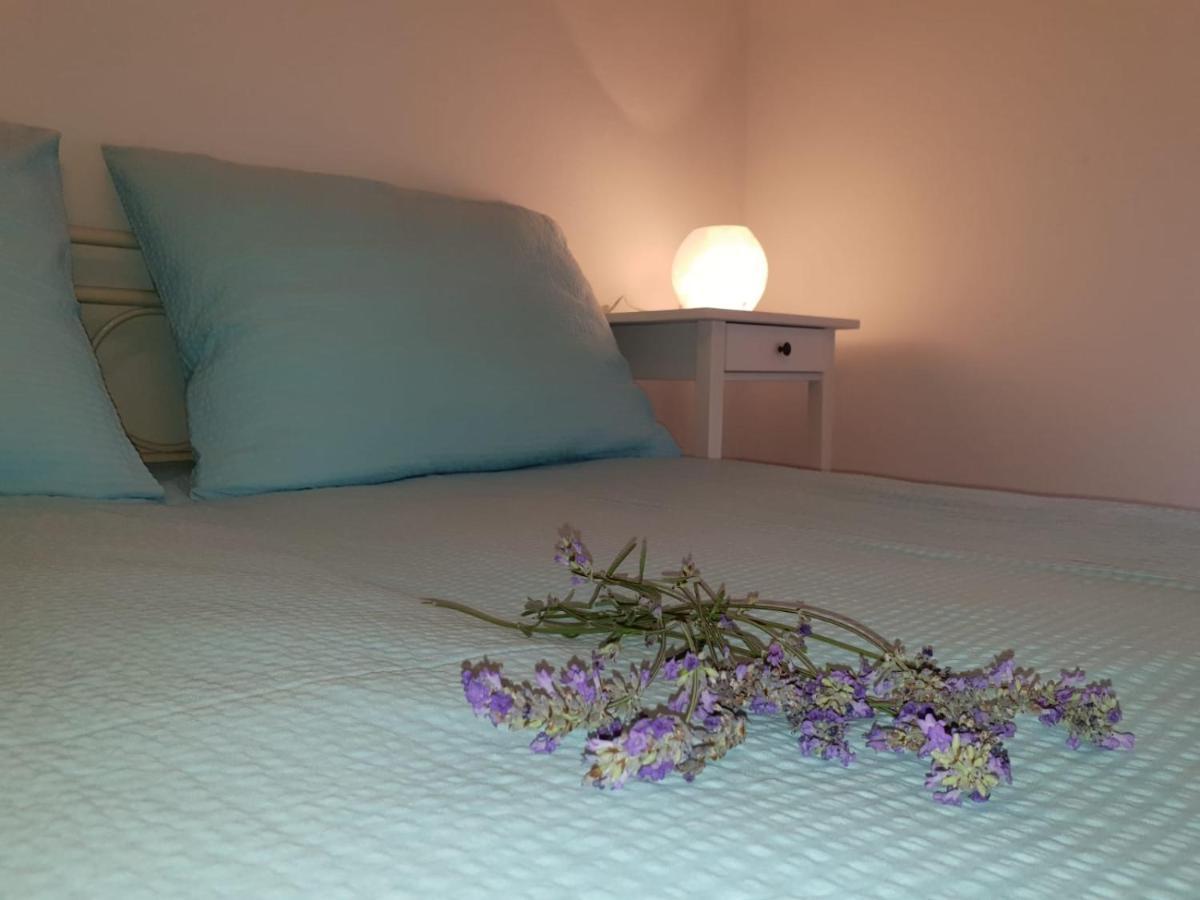 Standard Double Room,1499096791:JPEG