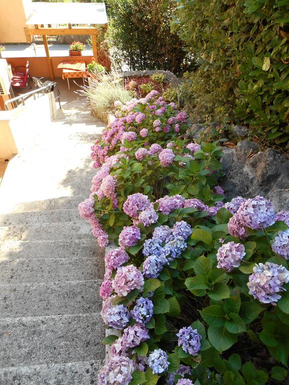 Double Room with Balcony and Sea View,253182745:JPEG