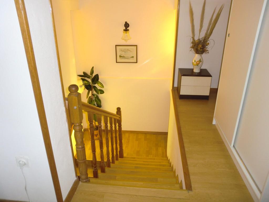 Double Room Forrest View