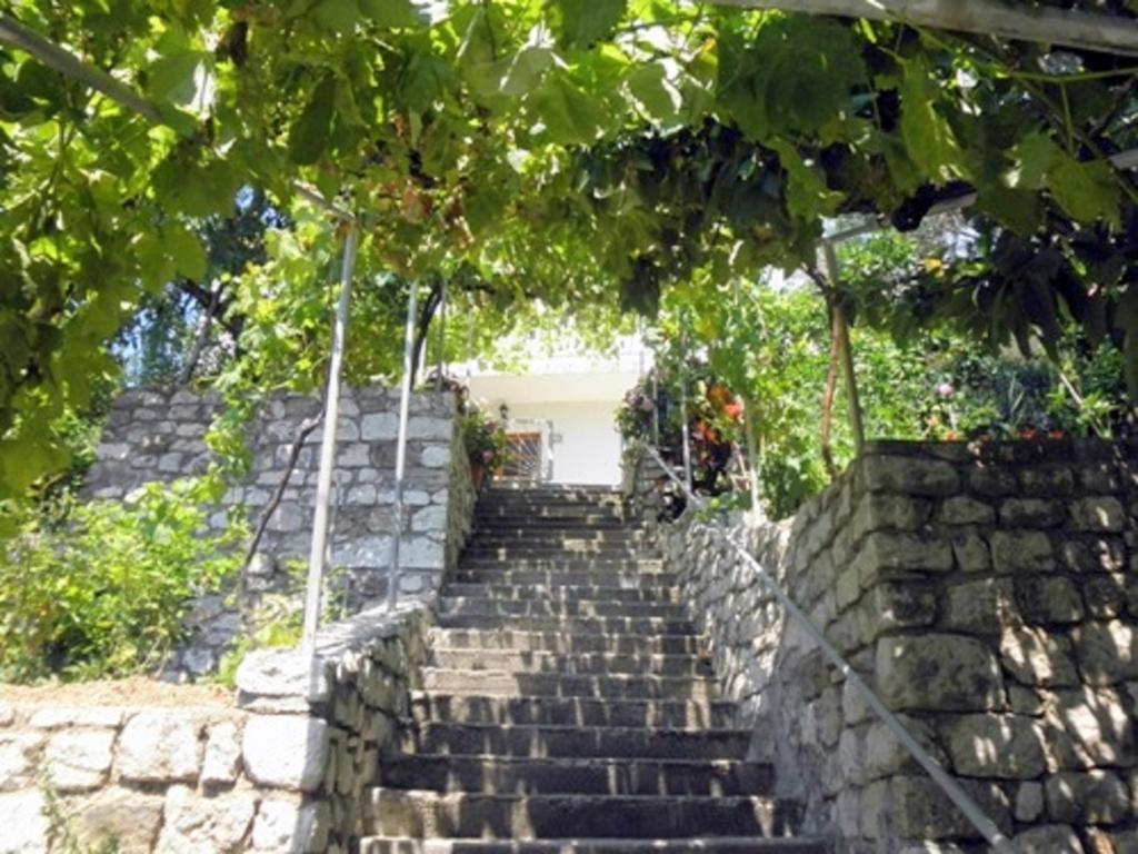 Apartment with Sea View,327178840:JPEG