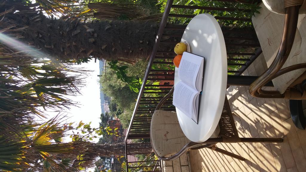 Triple Room with Balcony,659826954:JPEG