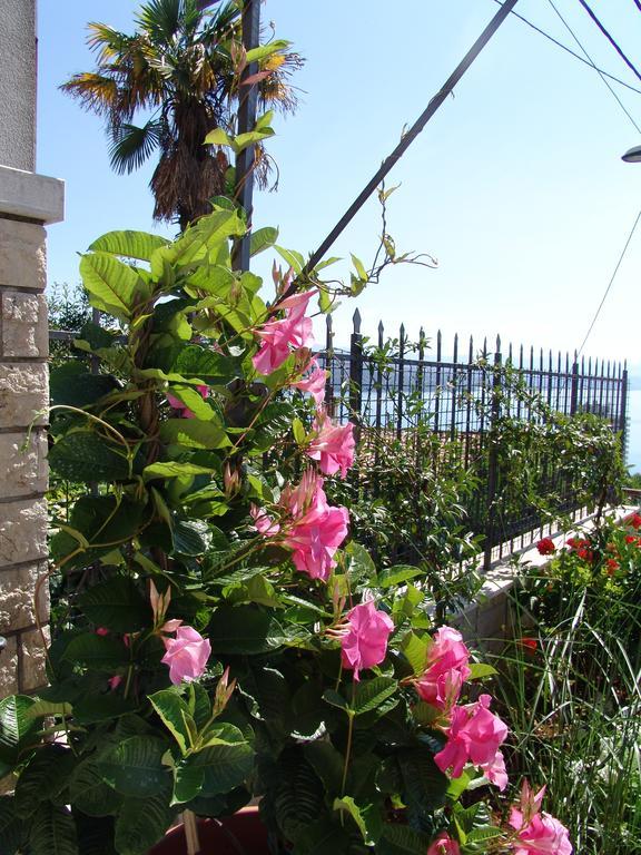 Apartment with Terrace,363099520:JPEG