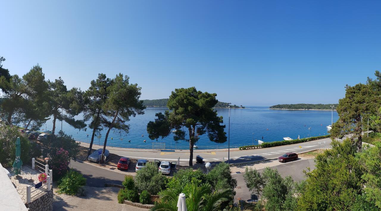 Apartment Terrace