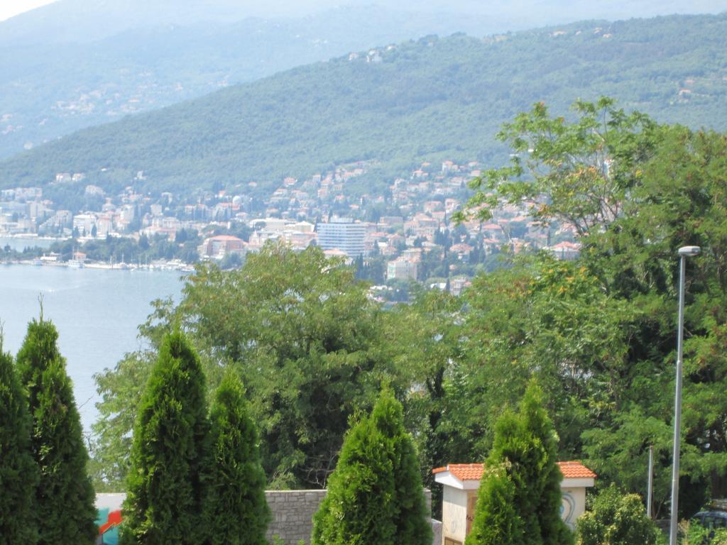 One-Bedroom Apartment with Terrace and Sea View,1102148724:JPEG