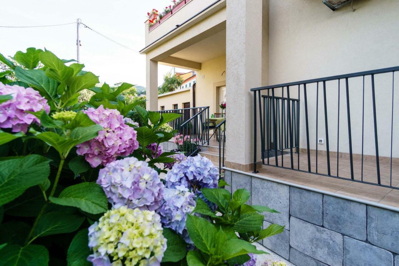 Apartment Garden View