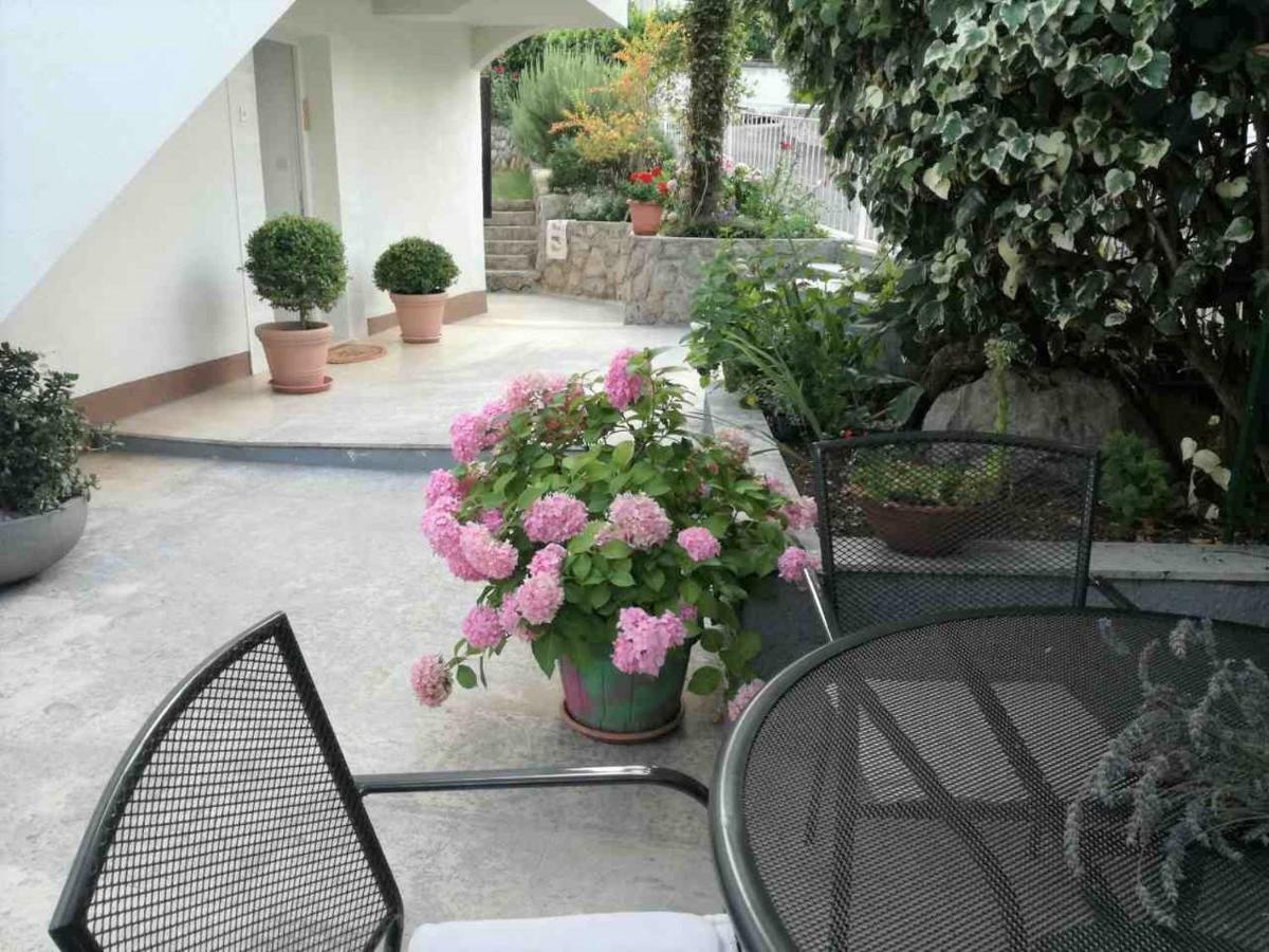 Apartment Terrace