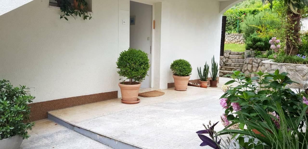 Apartment Terrace