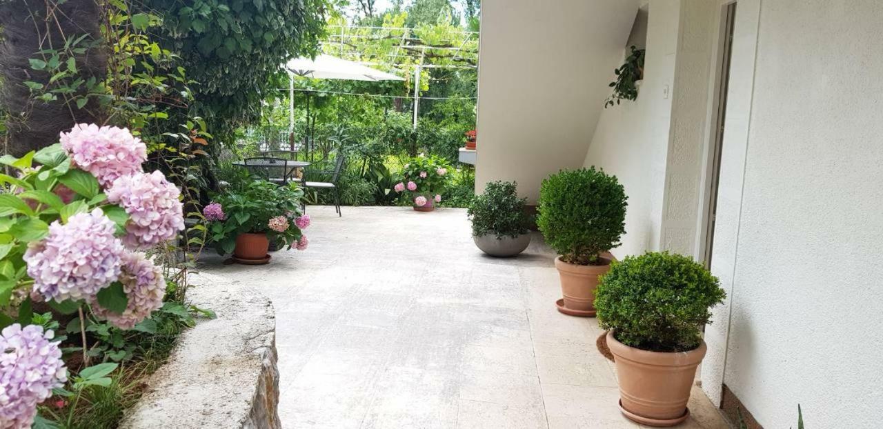 Apartment Terrace