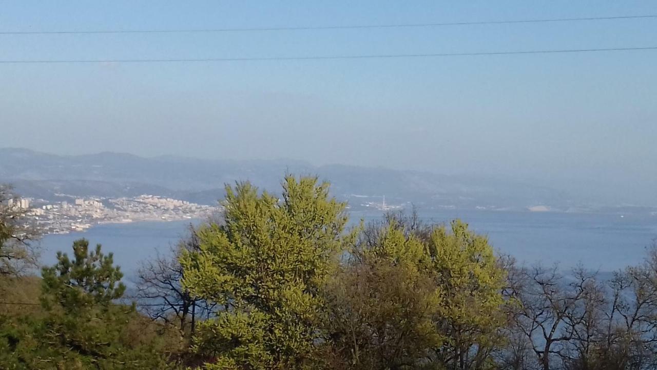 Two-Bedroom Apartment,919340860:JPEG