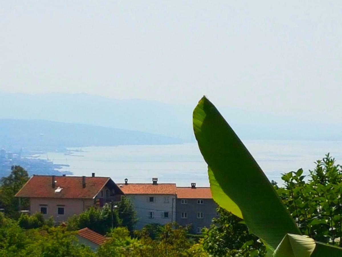 Studio with Sea View,1102426167:JPEG