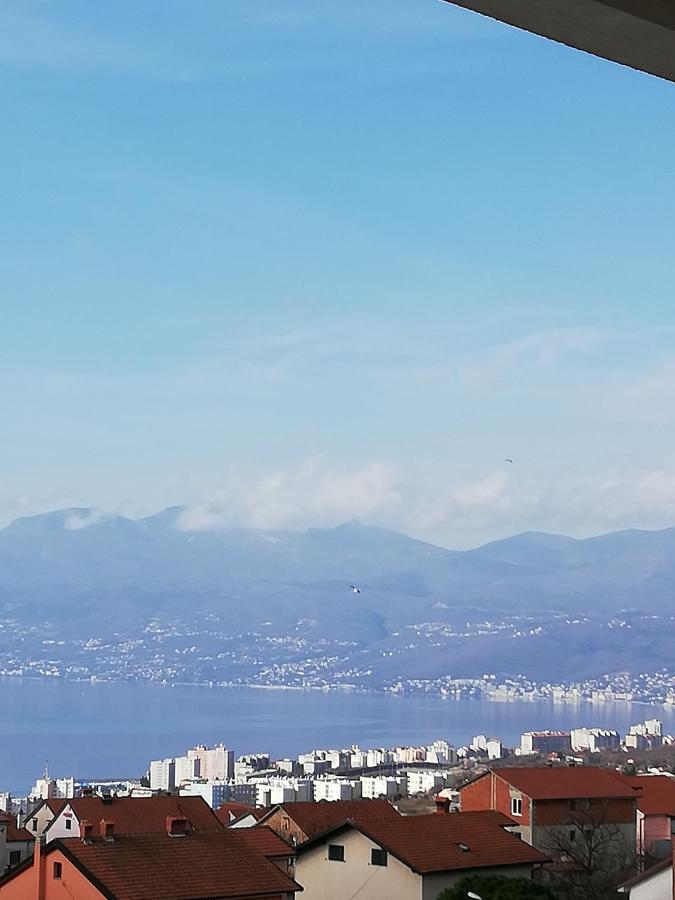 Two-Bedroom Apartment,1065599527:JPEG