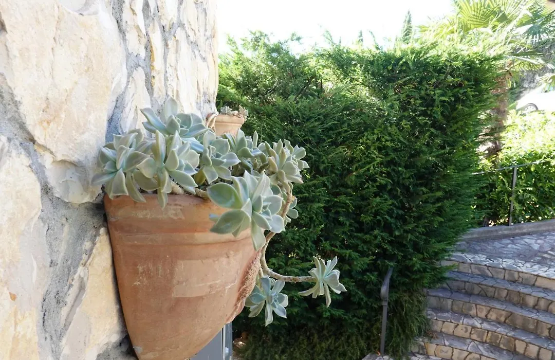 Villa Flora-1