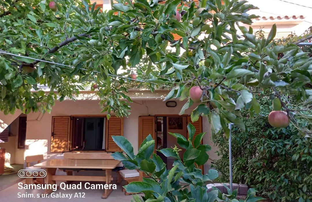 Apartmani Rukonic Aleksandar-1