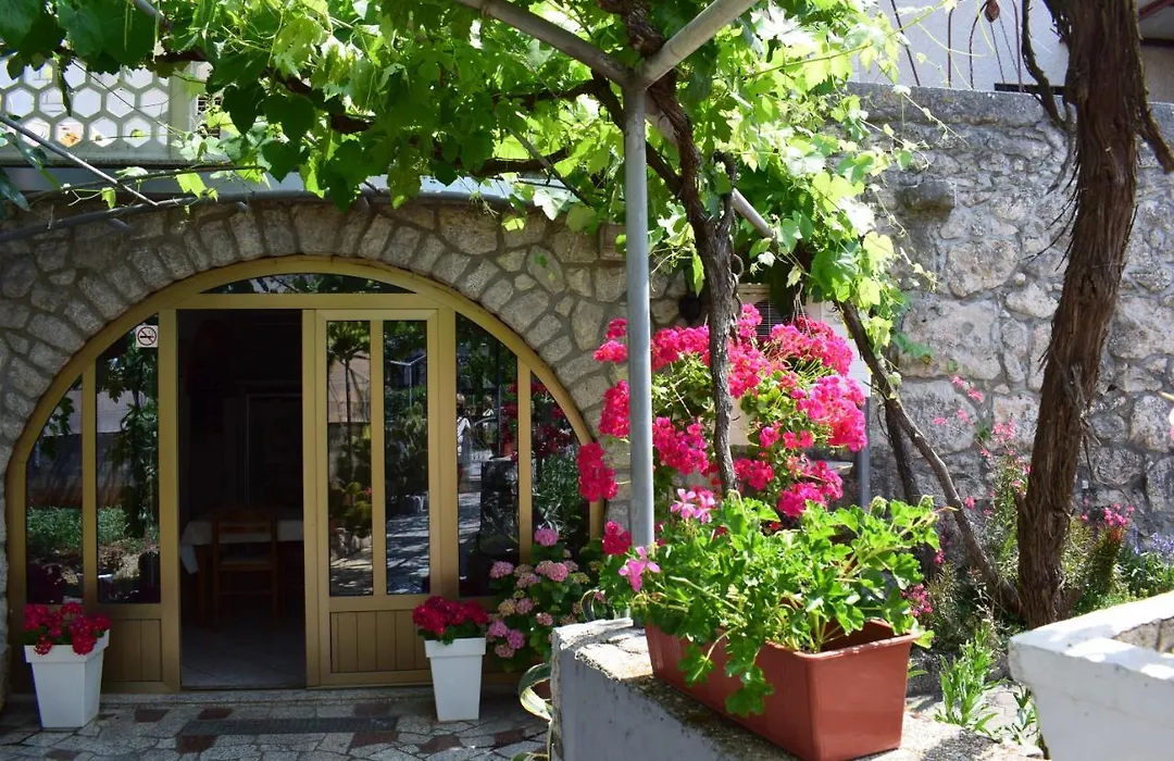 Guest House Tom-1