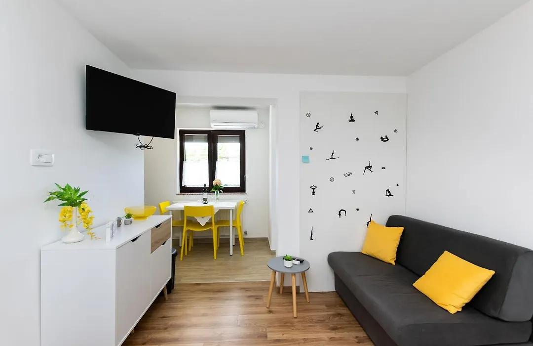 Apartment Branko-1