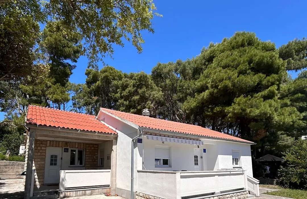 Ivaana-1