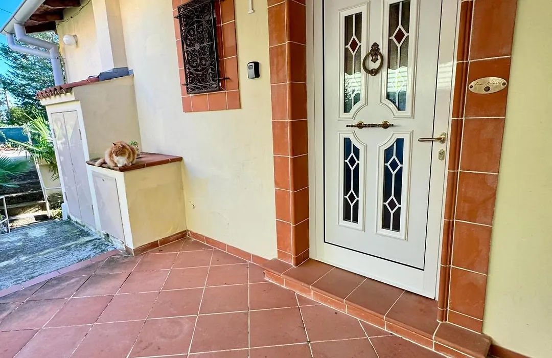 Apartment Bella 1-1