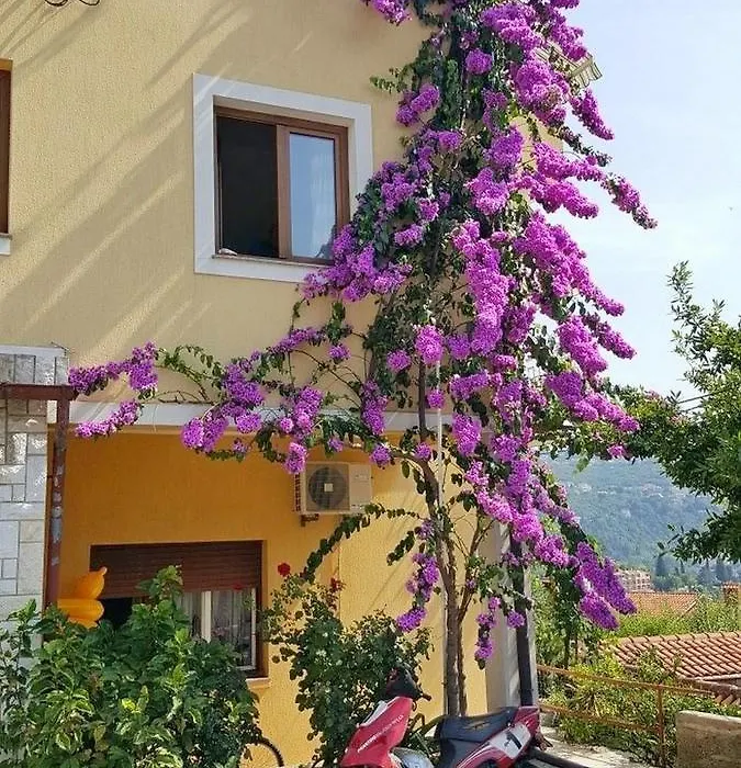 Apartments Danijel-1