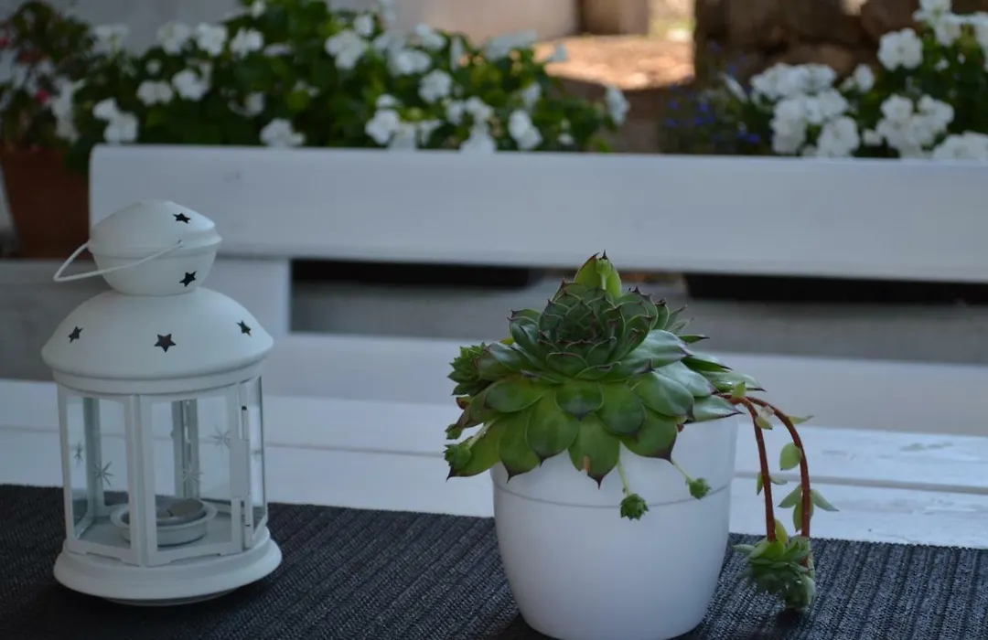 Apartman Kamenar-1