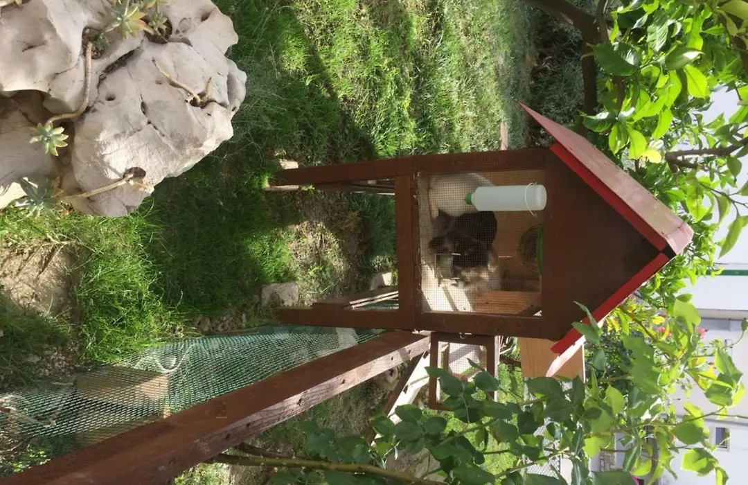 Apartmani Zorica-1