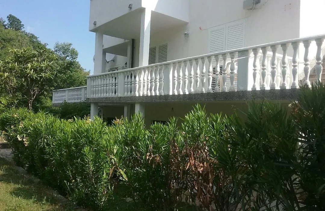 Apartman Put-1