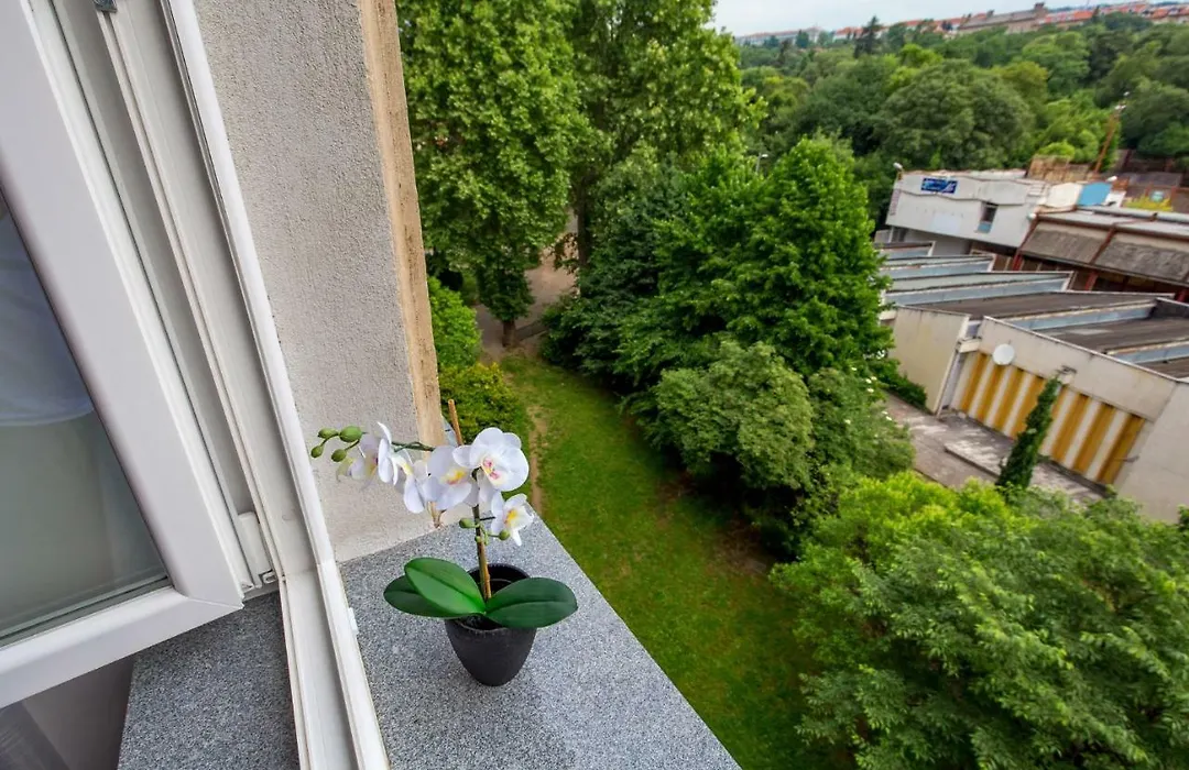 Apartman Deark-1