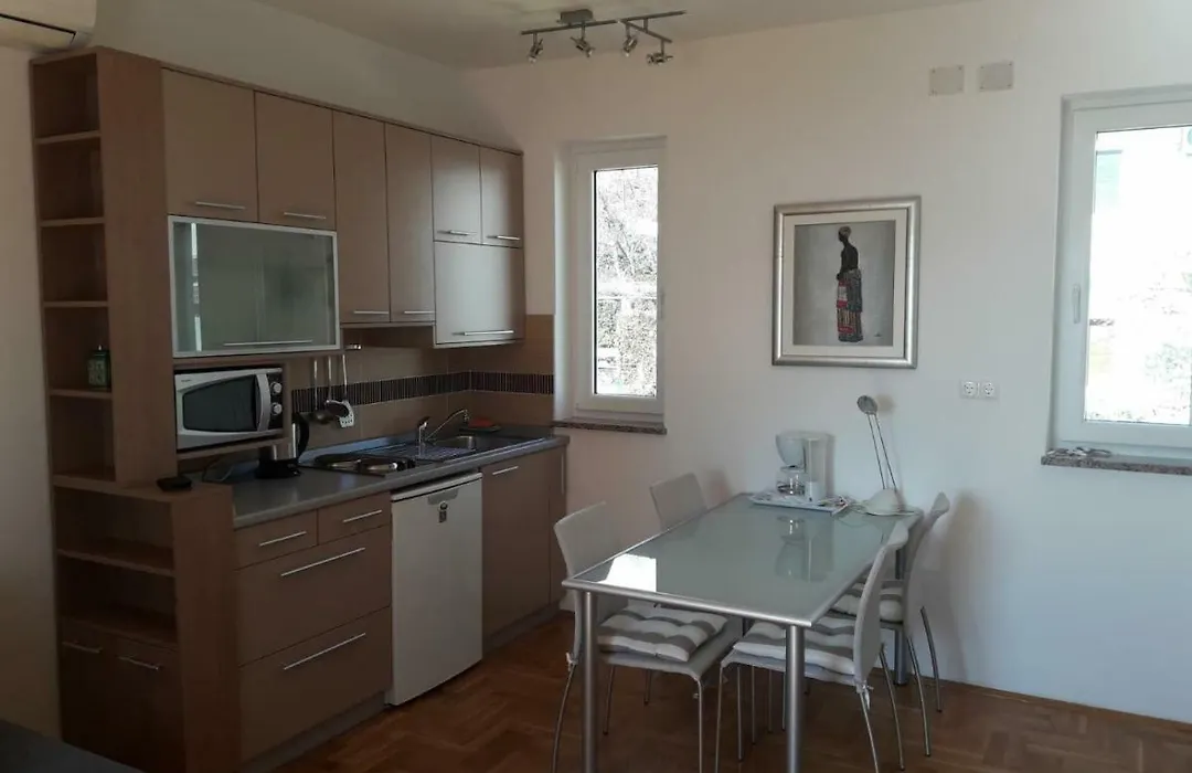 Studio Apartment Jasna-1