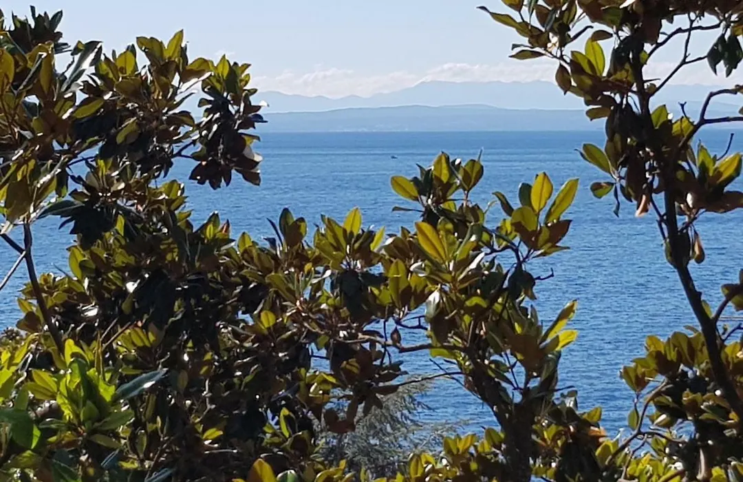 Sunny Apartment 150 M From The Sea-1