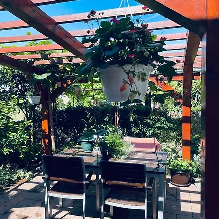 Apartmani Danijela-3