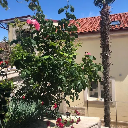 Beautiful View Apt 2-2