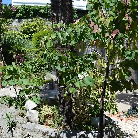 Beba'S Garden Apartment-2