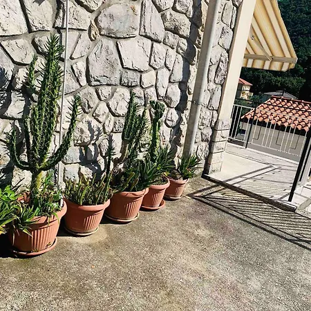 Apartman Riva-2