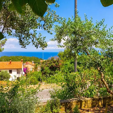 Apartments Matea, Mali Losinj-2