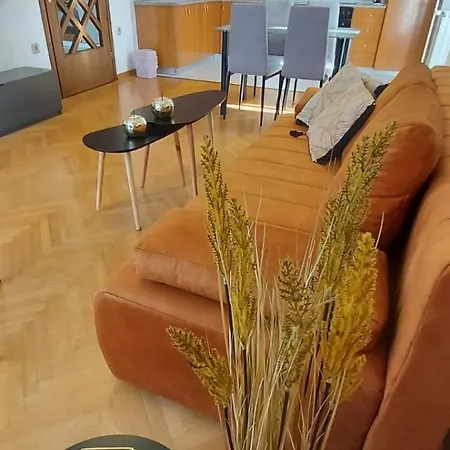 Apartments Fugosic-3