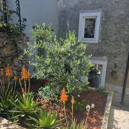 Castel-2