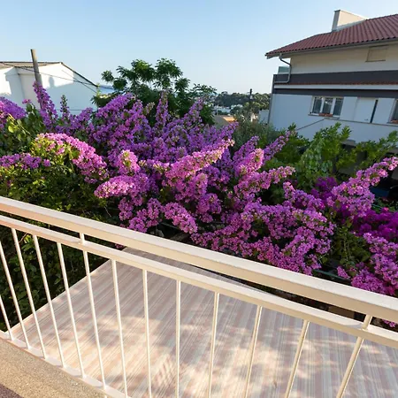 Apartman Boris-3