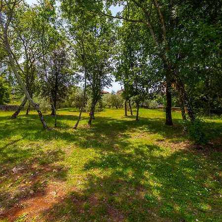 Apartments Cerovic-2