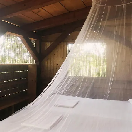Marusina Olive Hills - Glamping & Minicamp-3