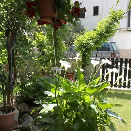 Apartments And Rooms With Parking Space Punat, Krk - 5363-2
