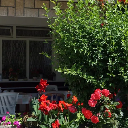 Apartments And Rooms With Parking Space Palit, Rab - 5039-2