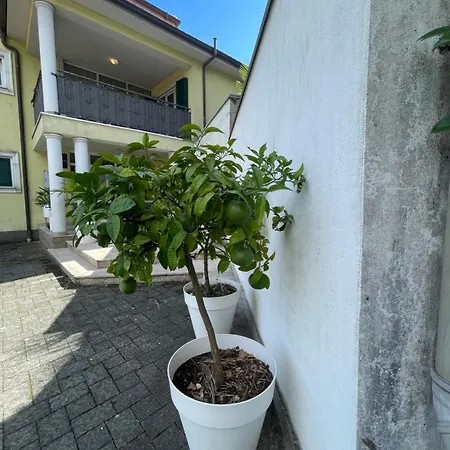 Apartman Mare-3