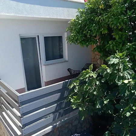 Apartments Boric-2