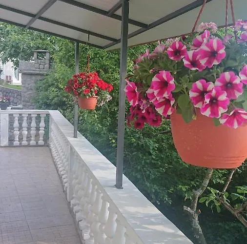 Pet friendly Morepal Rijeka