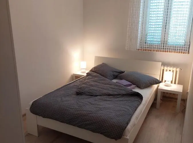 Pet friendly Apartman Ena Opatija