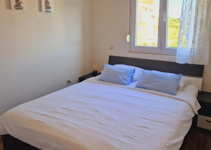 Pet friendly Villa Petra Barbat na Rabu