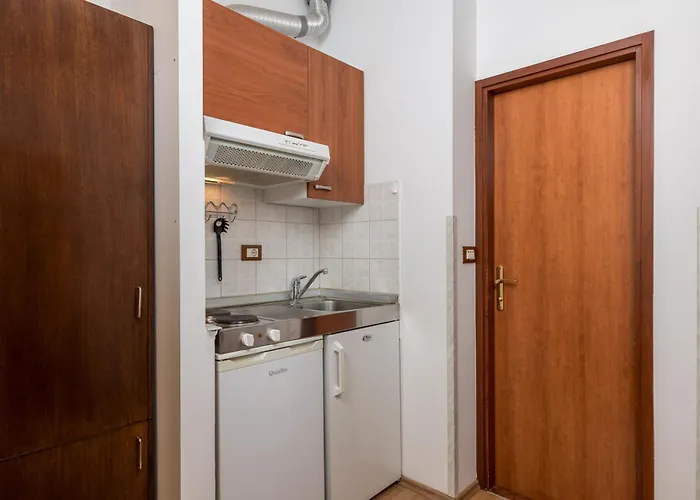 Huisdiervriedelijke Apartments Liburnija Opatija