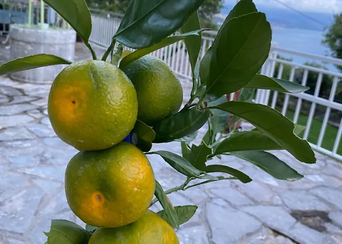 Back To Green Apartment Pobri-Opatija