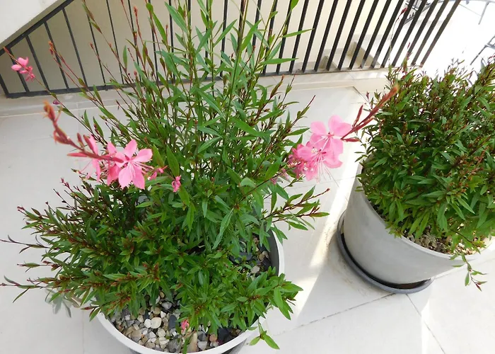 Hotel Mari House Malinska