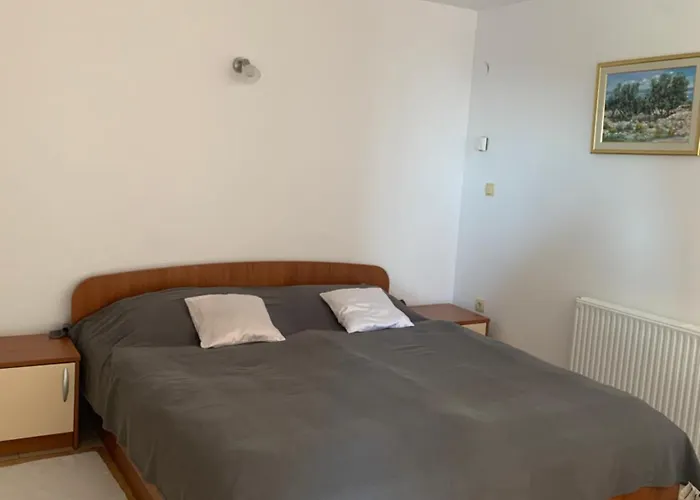 Apartment Villa Ana Opatija admite animales
