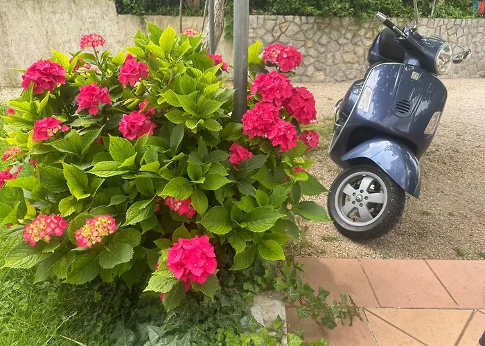 Hotel vicino a Aquarium Terrarium Krk